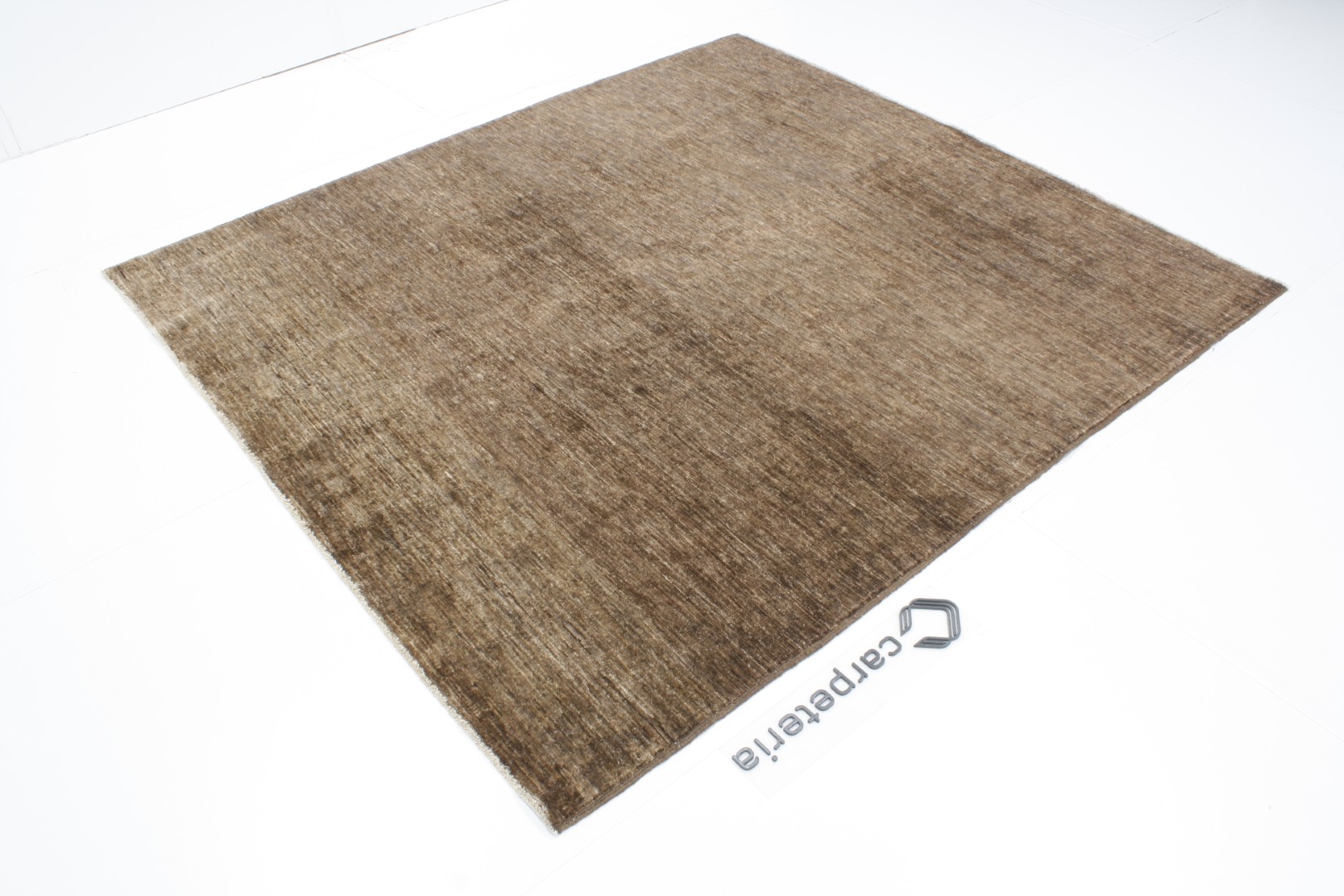 Oriental rug Ziegler Modern