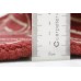 Oriental rug Carrara Premium