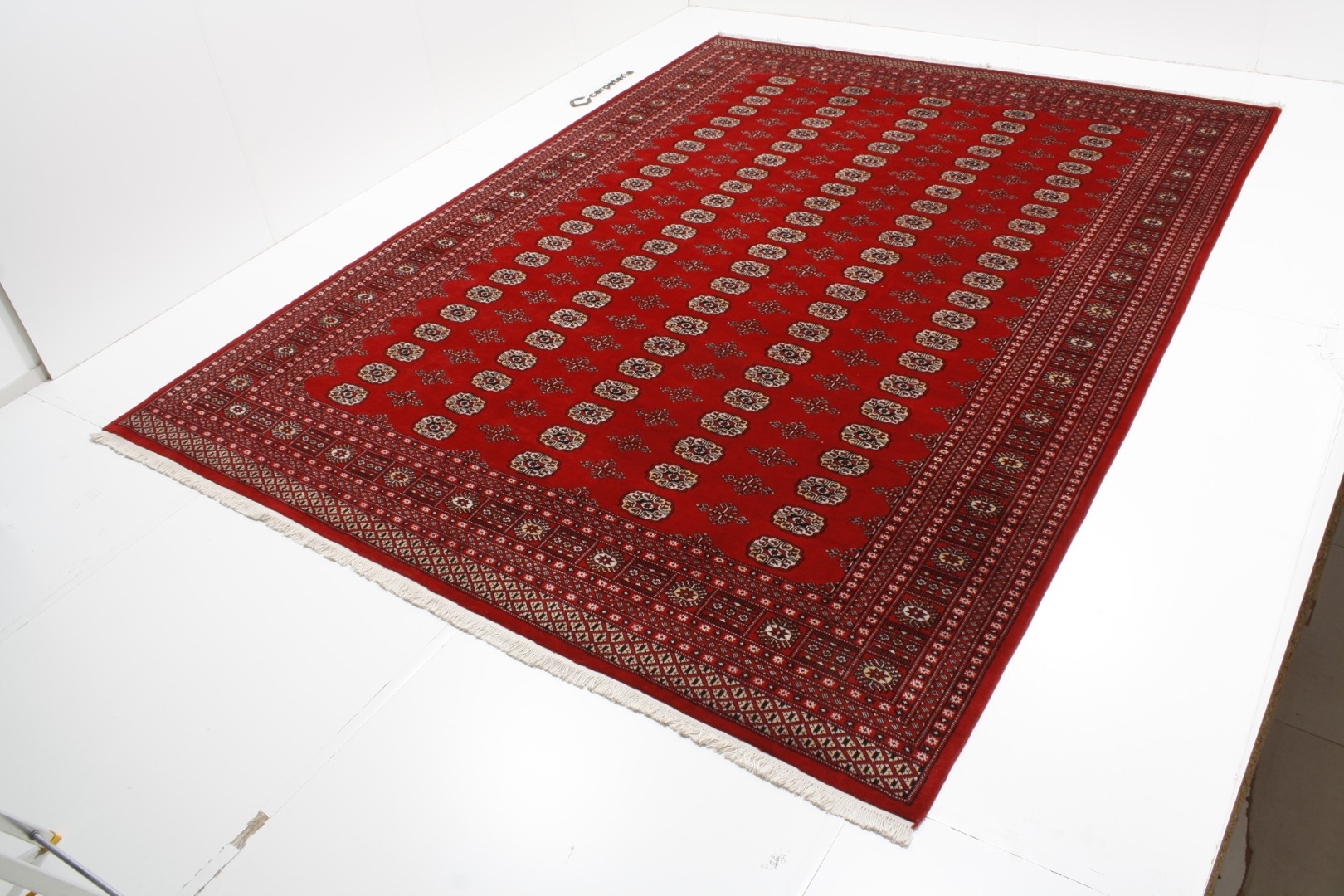Oriental rug Buchara Exkluziv