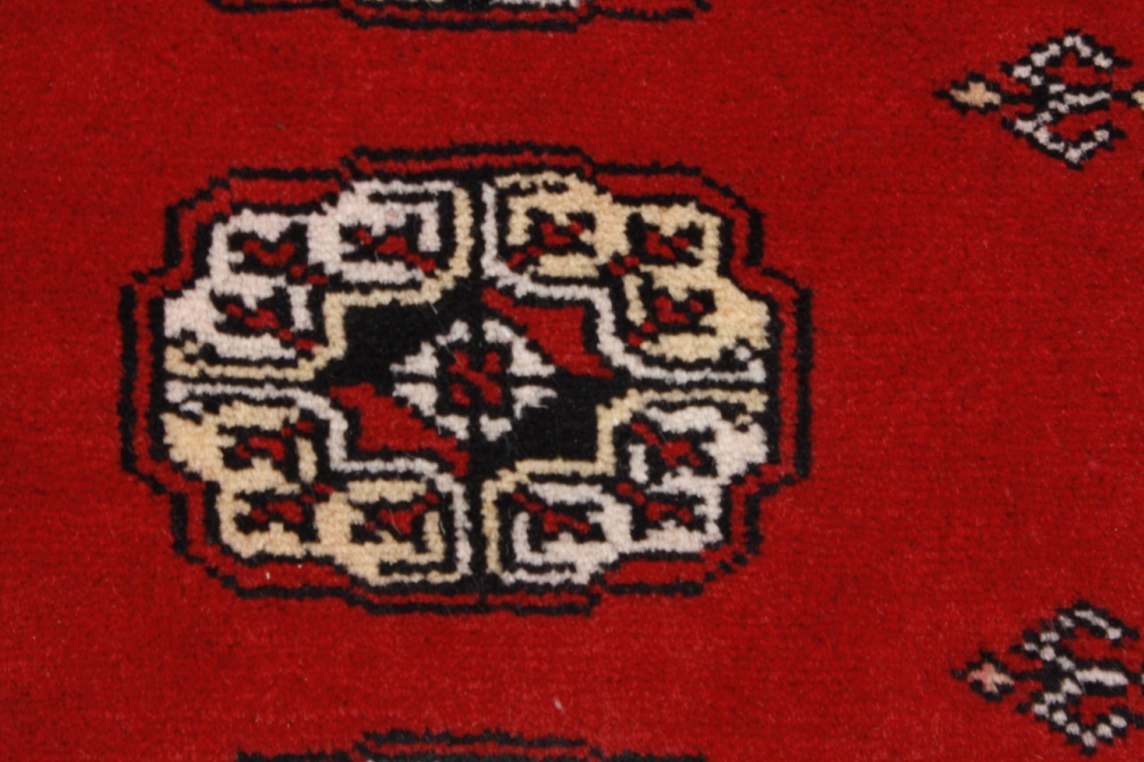 Oriental rug Buchara Exkluziv