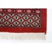 Oriental rug Buchara Exkluziv