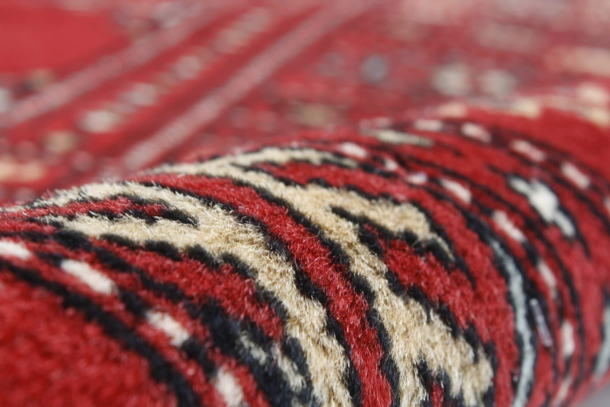 Oriental rug Buchara Exkluziv