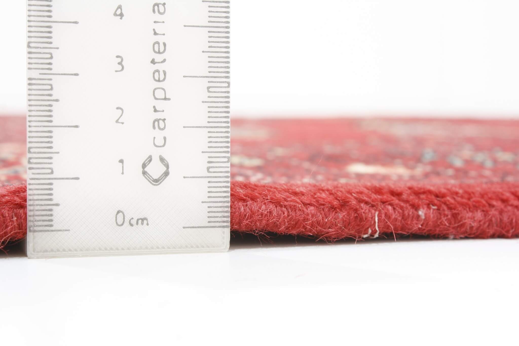 Oriental rug Buchara Exkluziv