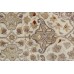Oriental rug Wazirabad