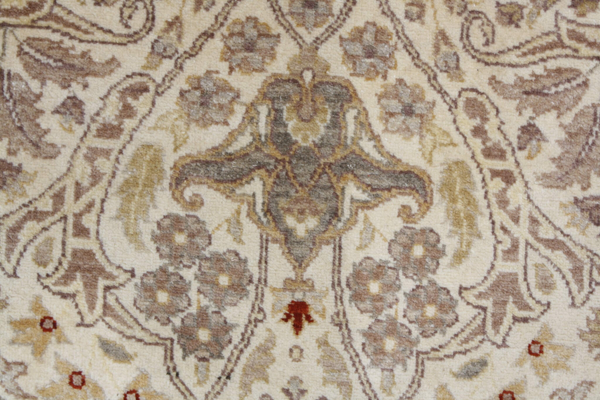 Oriental rug Wazirabad