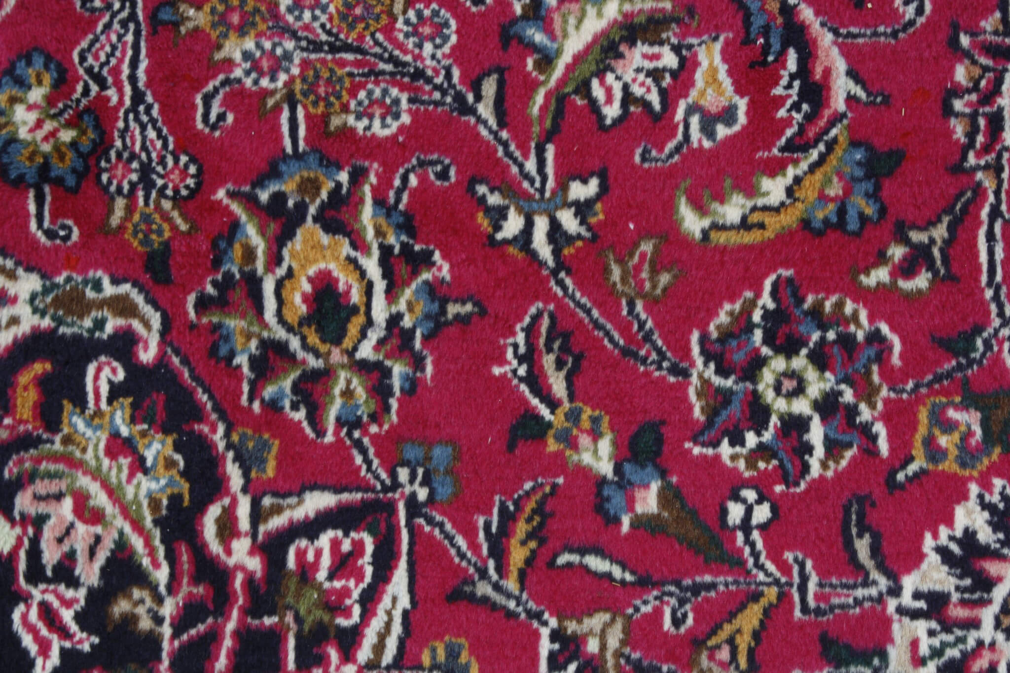 Persian rug Kashmar