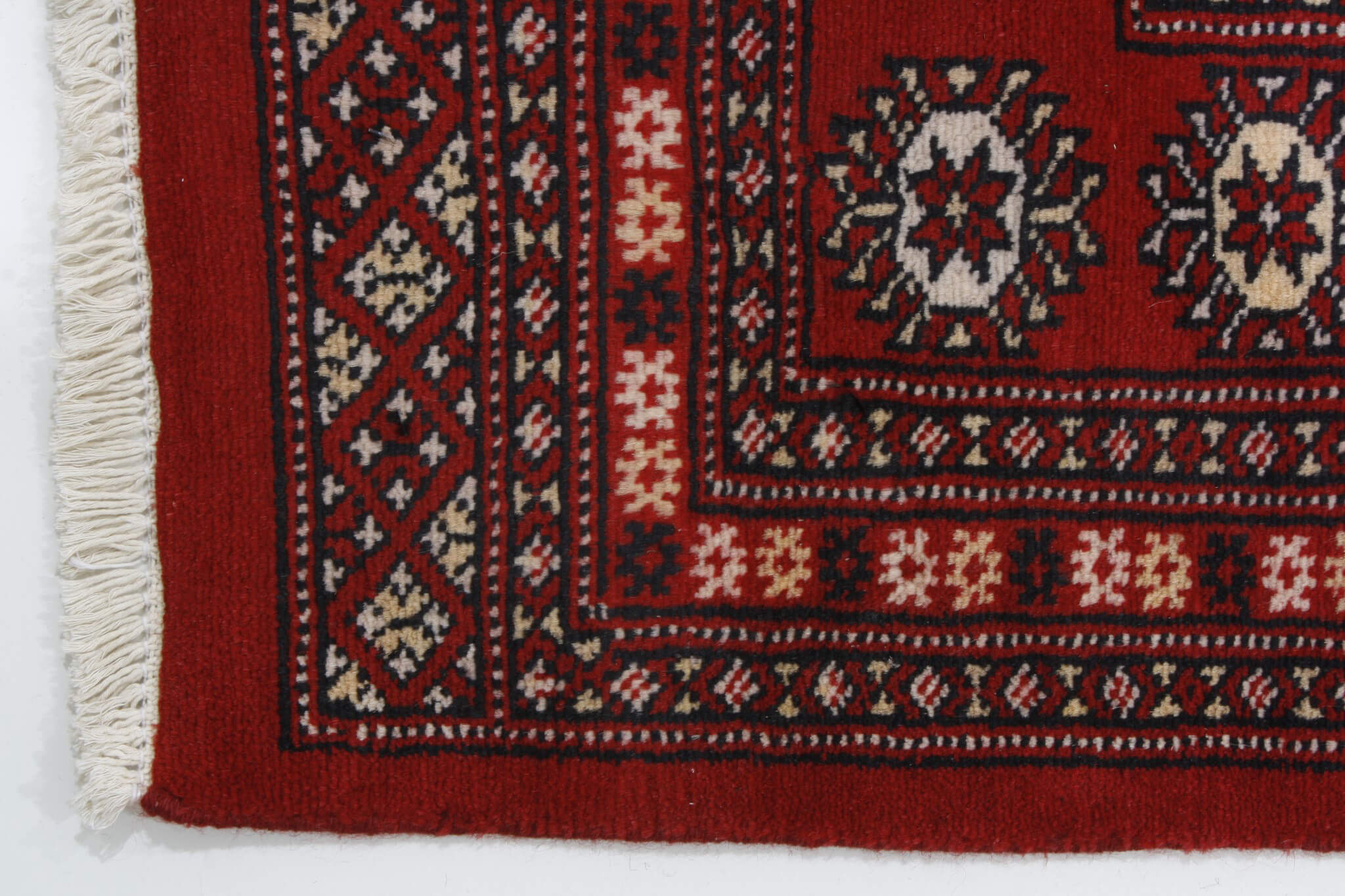 Oriental rug Bukhara Exclusive
