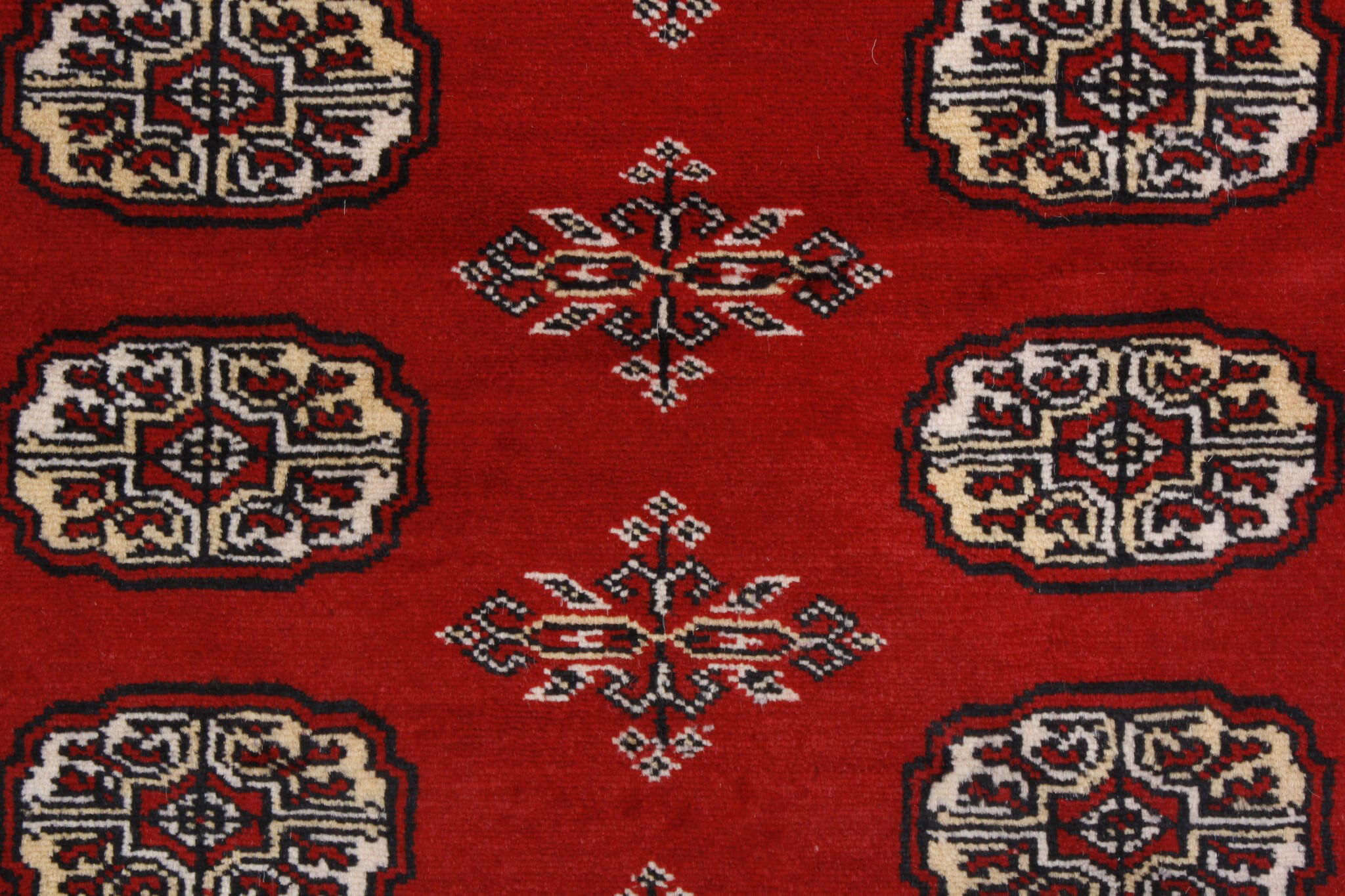 Oriental rug Bukhara Exclusive