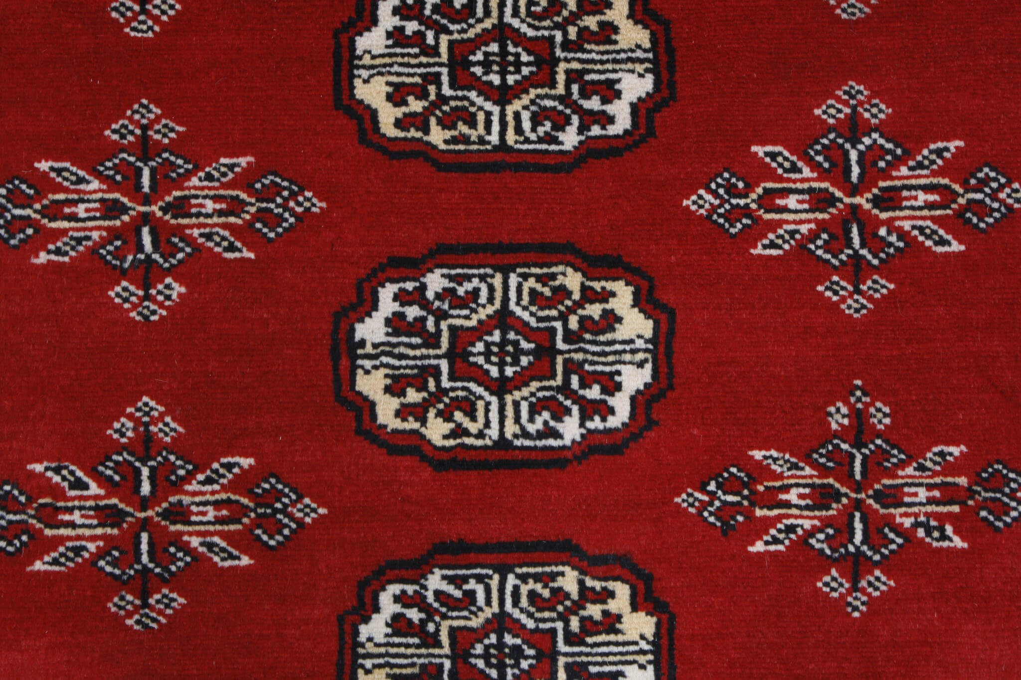 Oriental rug Bukhara Exclusive
