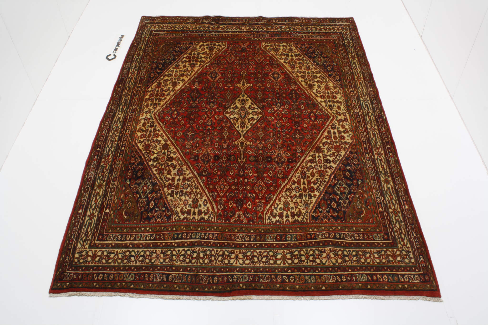 Persian rug Hamedan