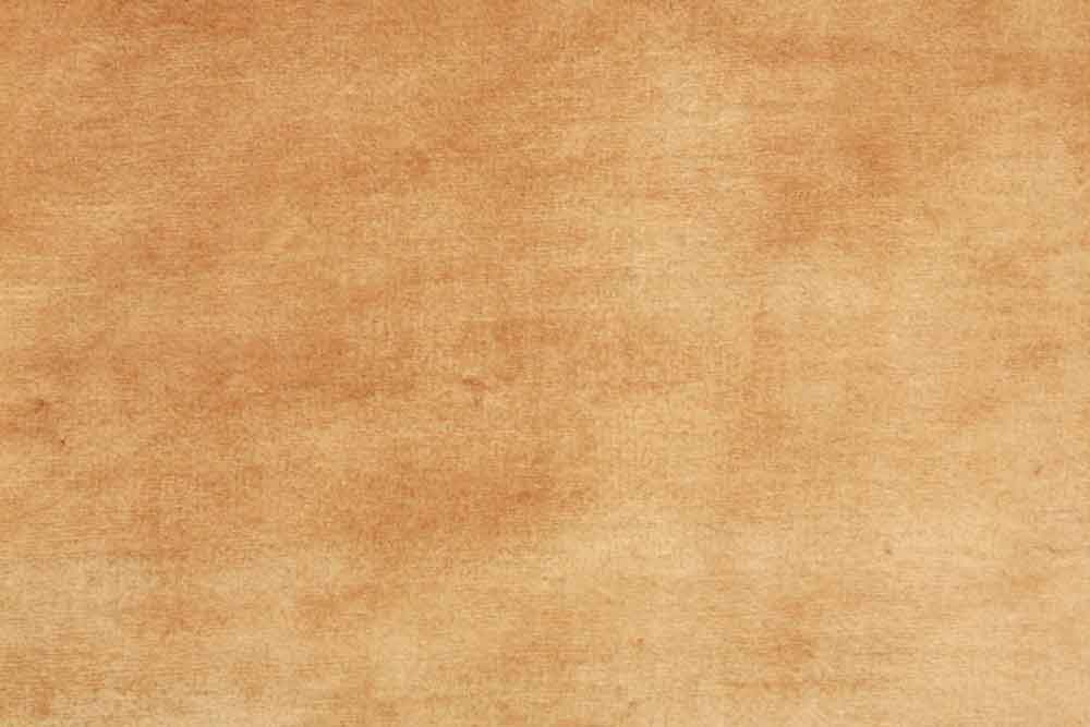 Oriental rug Bukhara