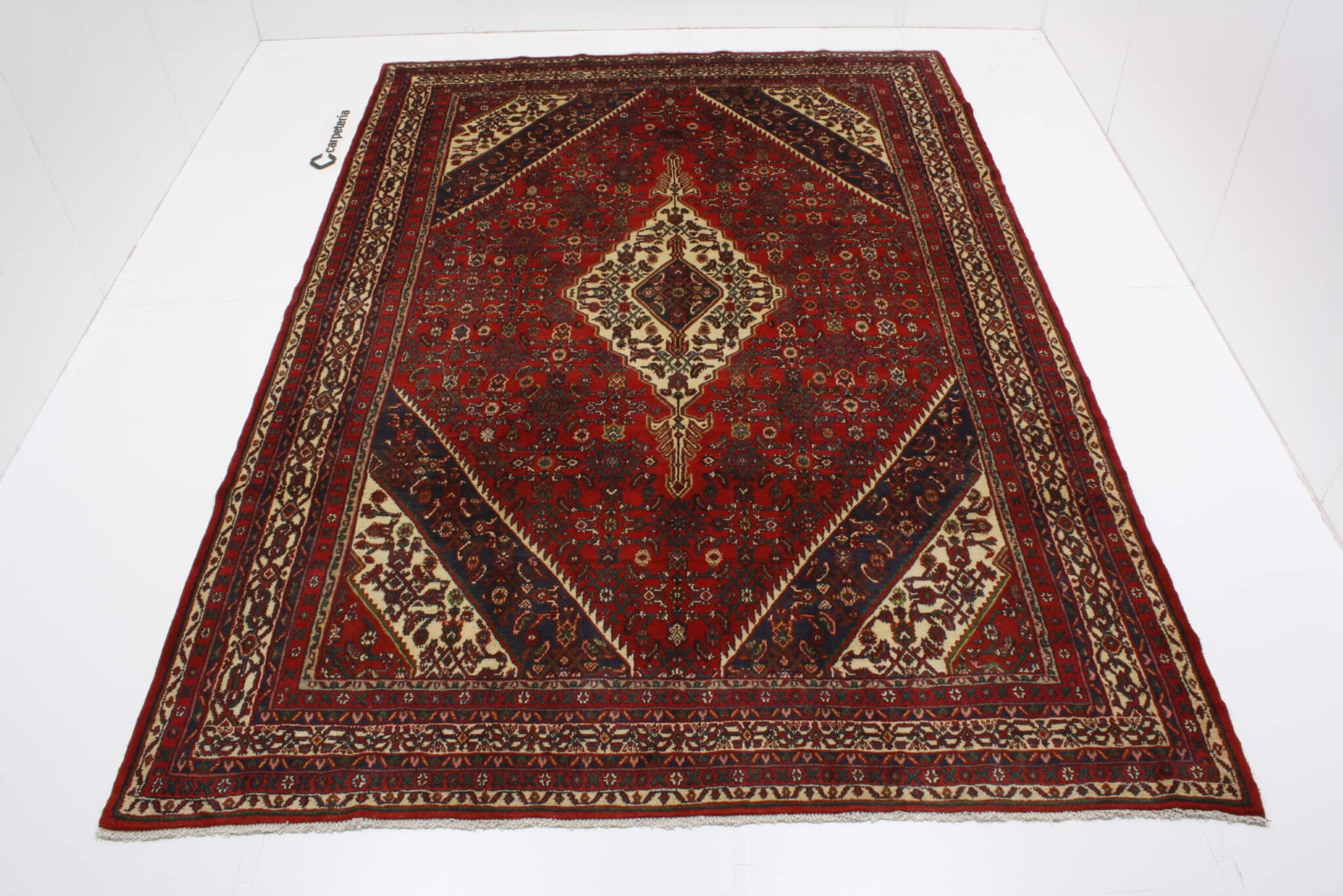 Persian rug Hamedan