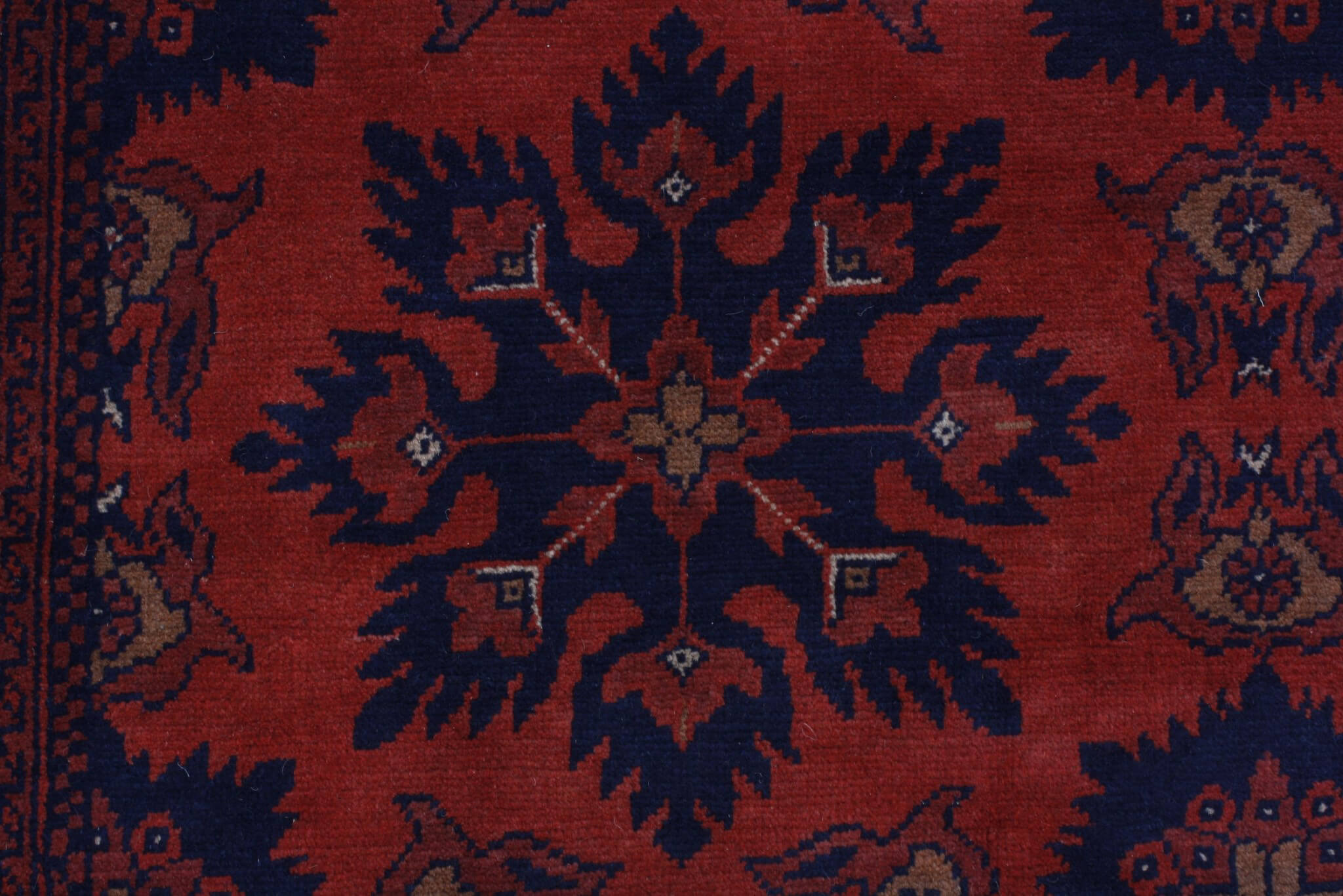 Oriental rug Mauri Exclusive