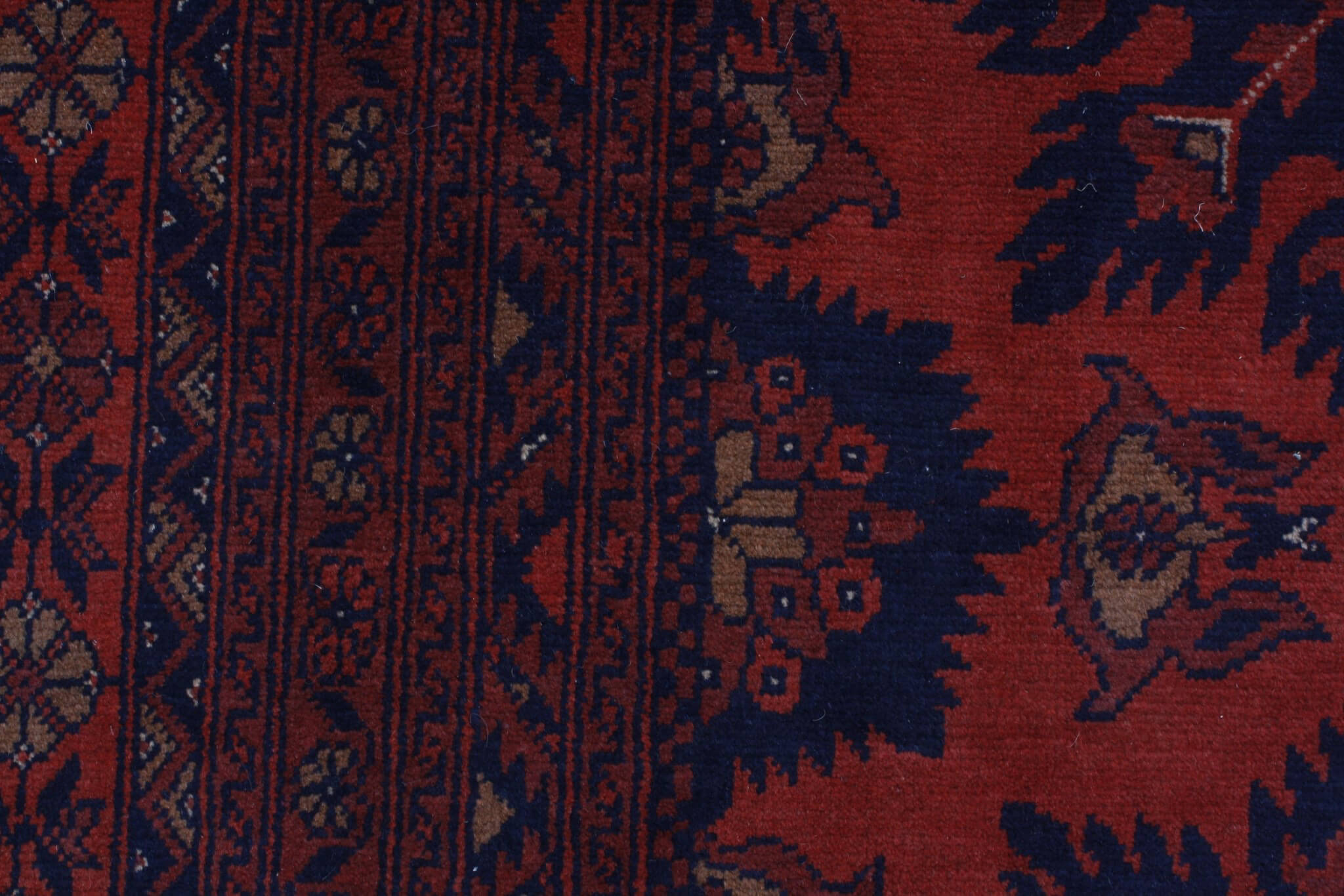 Oriental rug Mauri Exclusive
