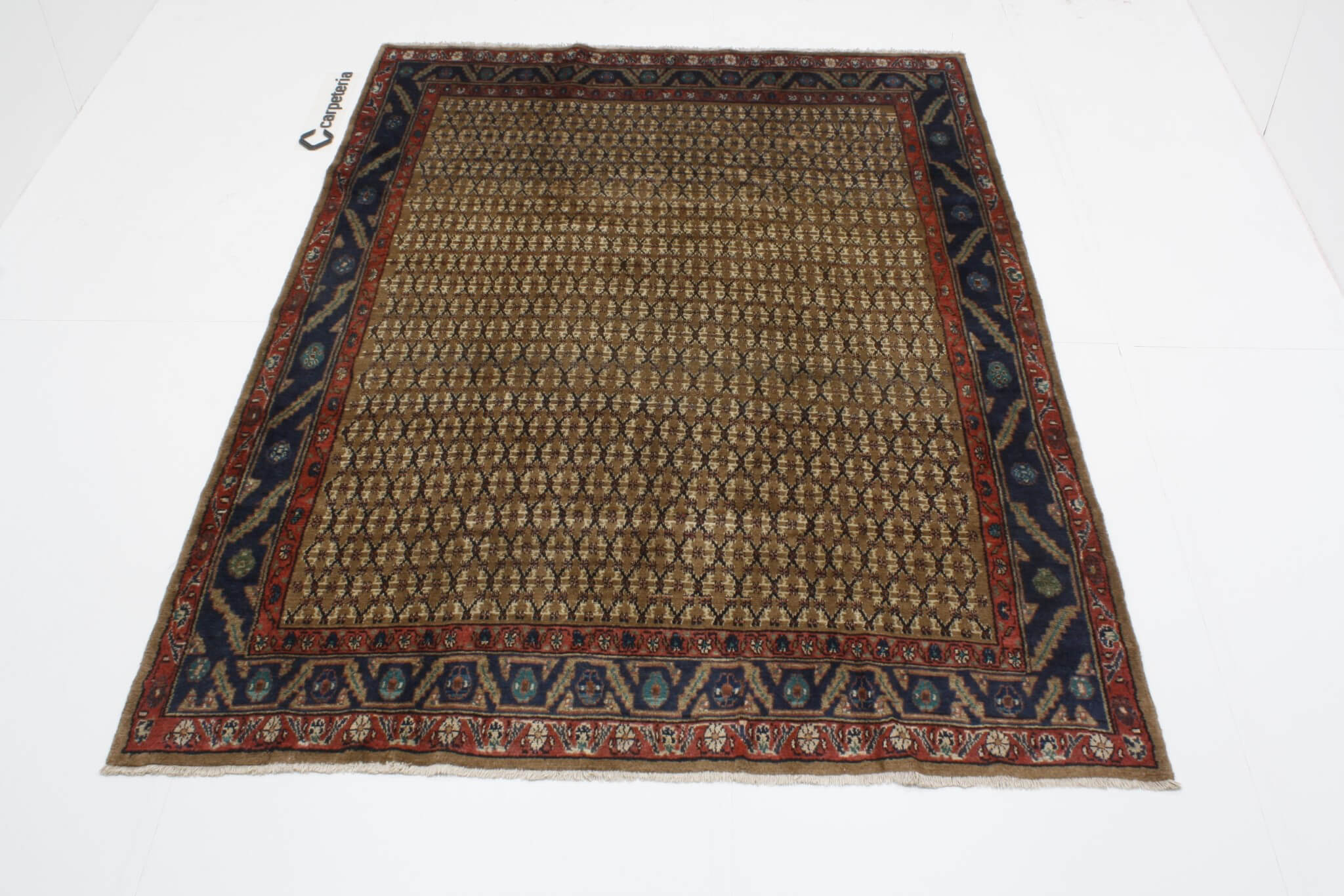 Persian rug Kolyai