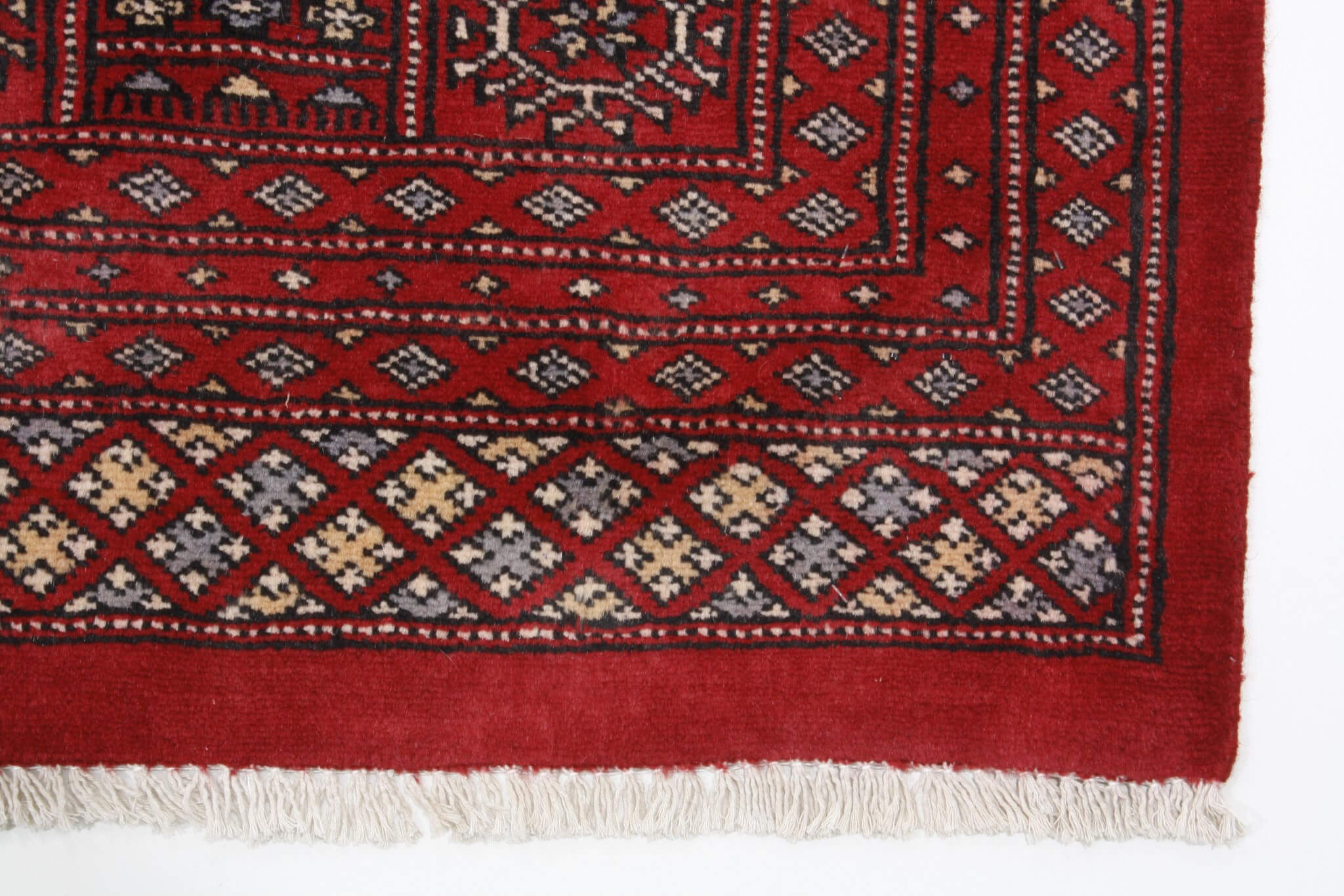 Oriental rug Bukhara Exclusive