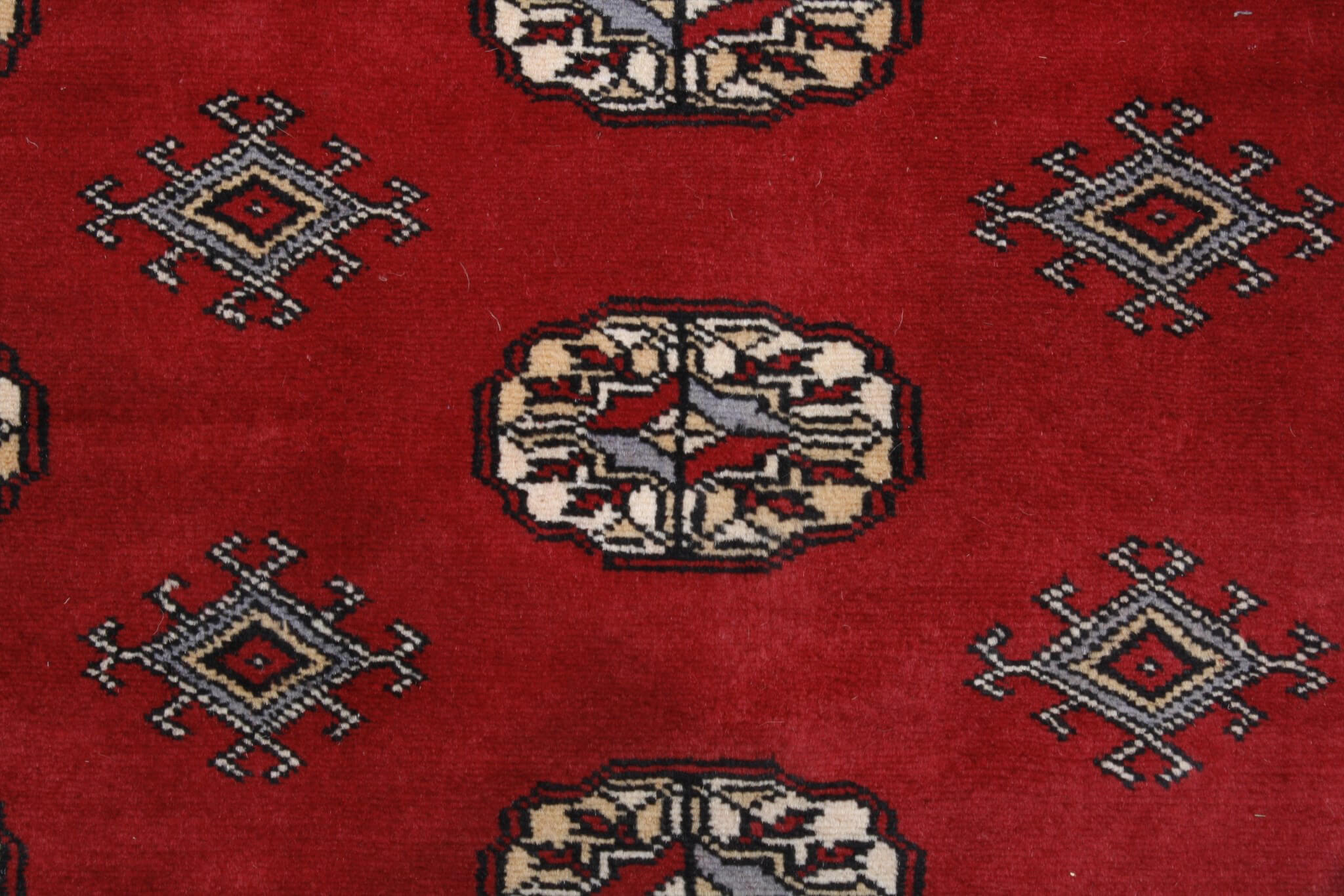 Oriental rug Bukhara Exclusive