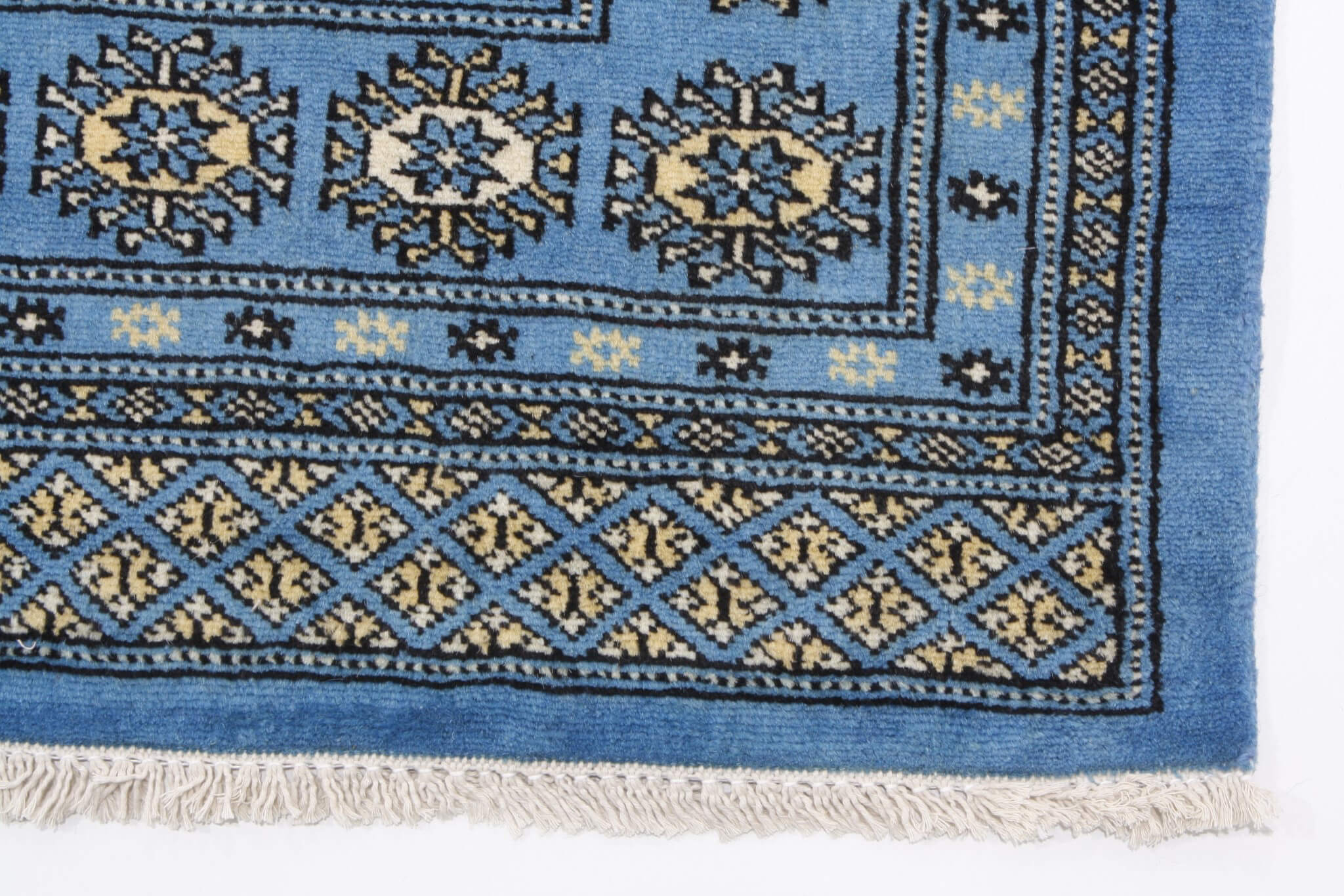 Oriental rug Bukhara Exclusive