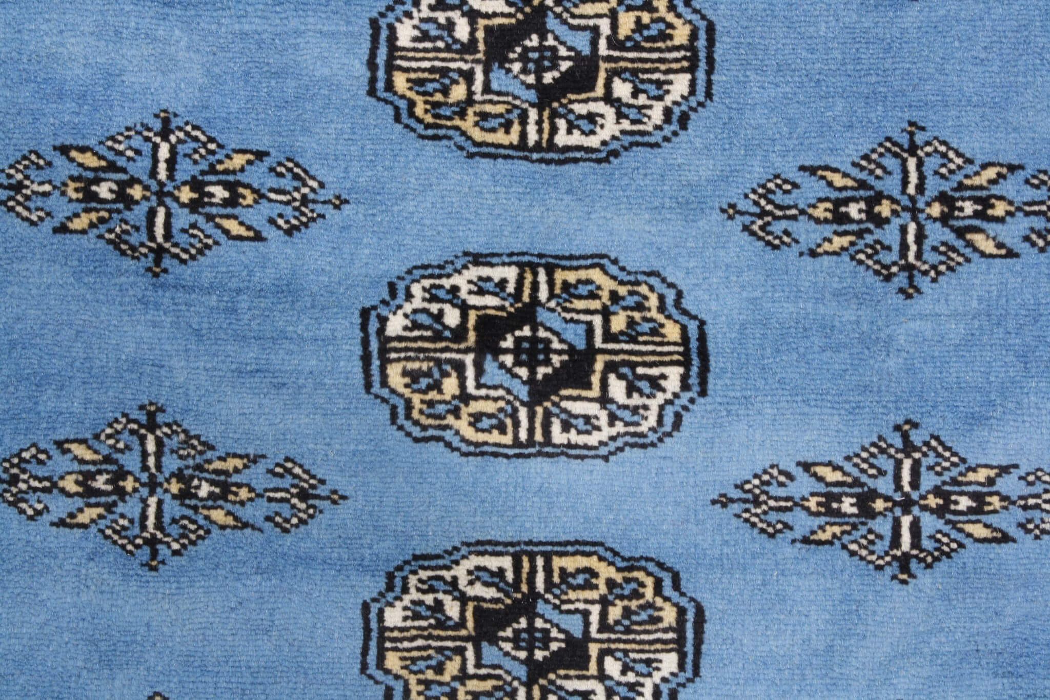 Oriental rug Bukhara Exclusive