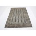 Oriental rug Bukhara Exclusive
