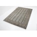 Oriental rug Bukhara Exclusive