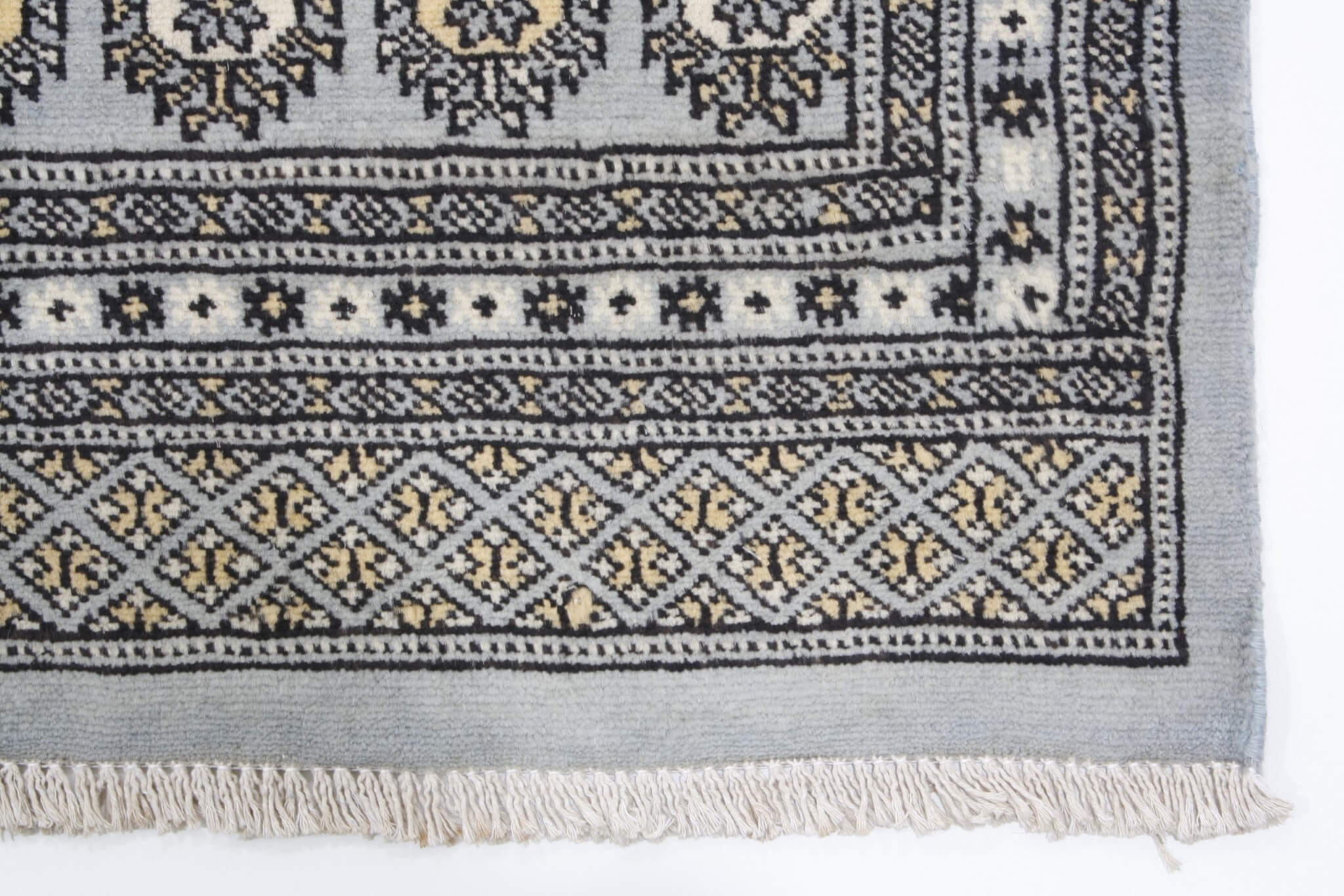Oriental rug Bukhara Exclusive