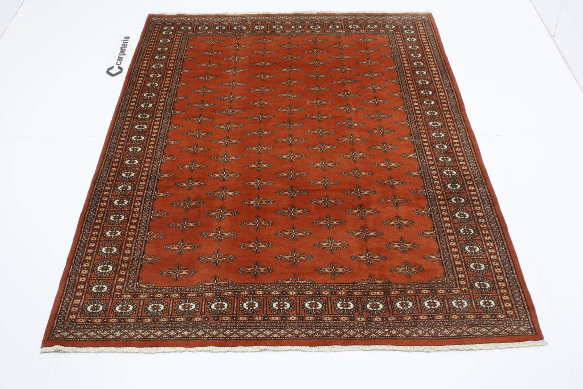 Oriental rug Bukhara Exclusive