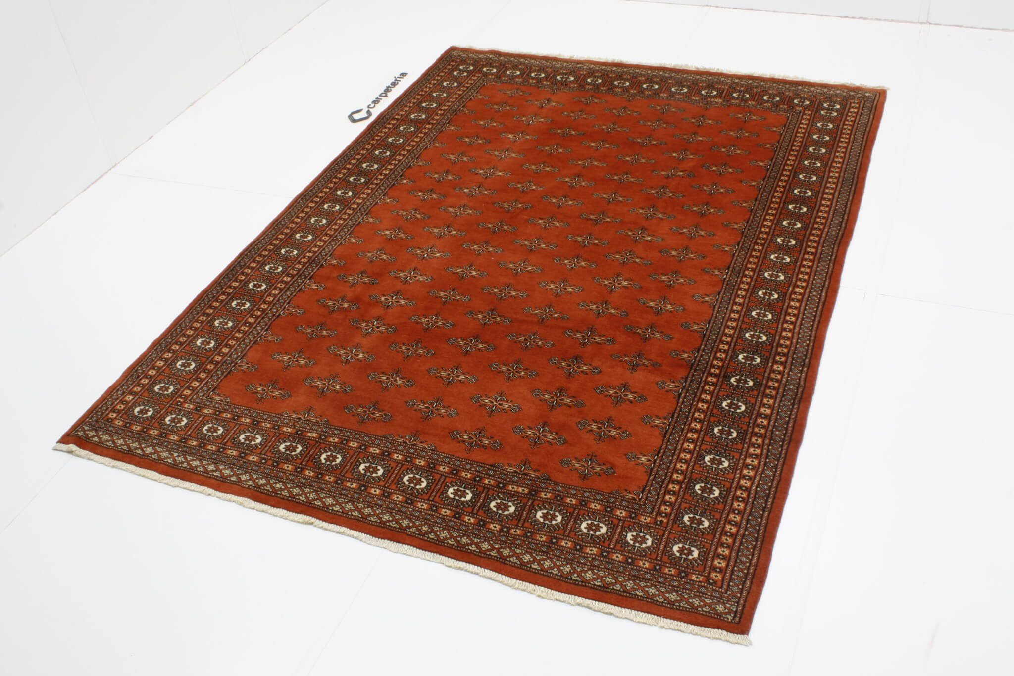 Oriental rug Bukhara Exclusive