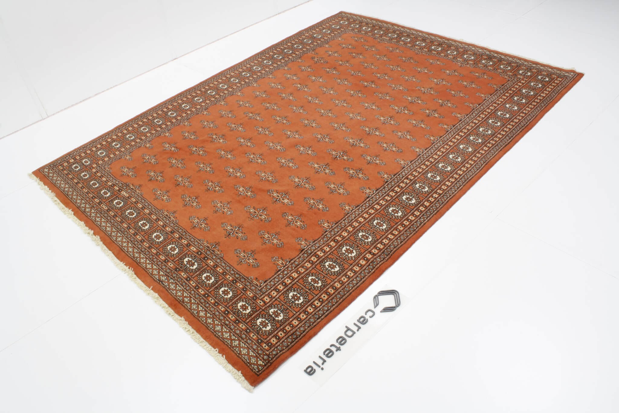 Oriental rug Bukhara Exclusive