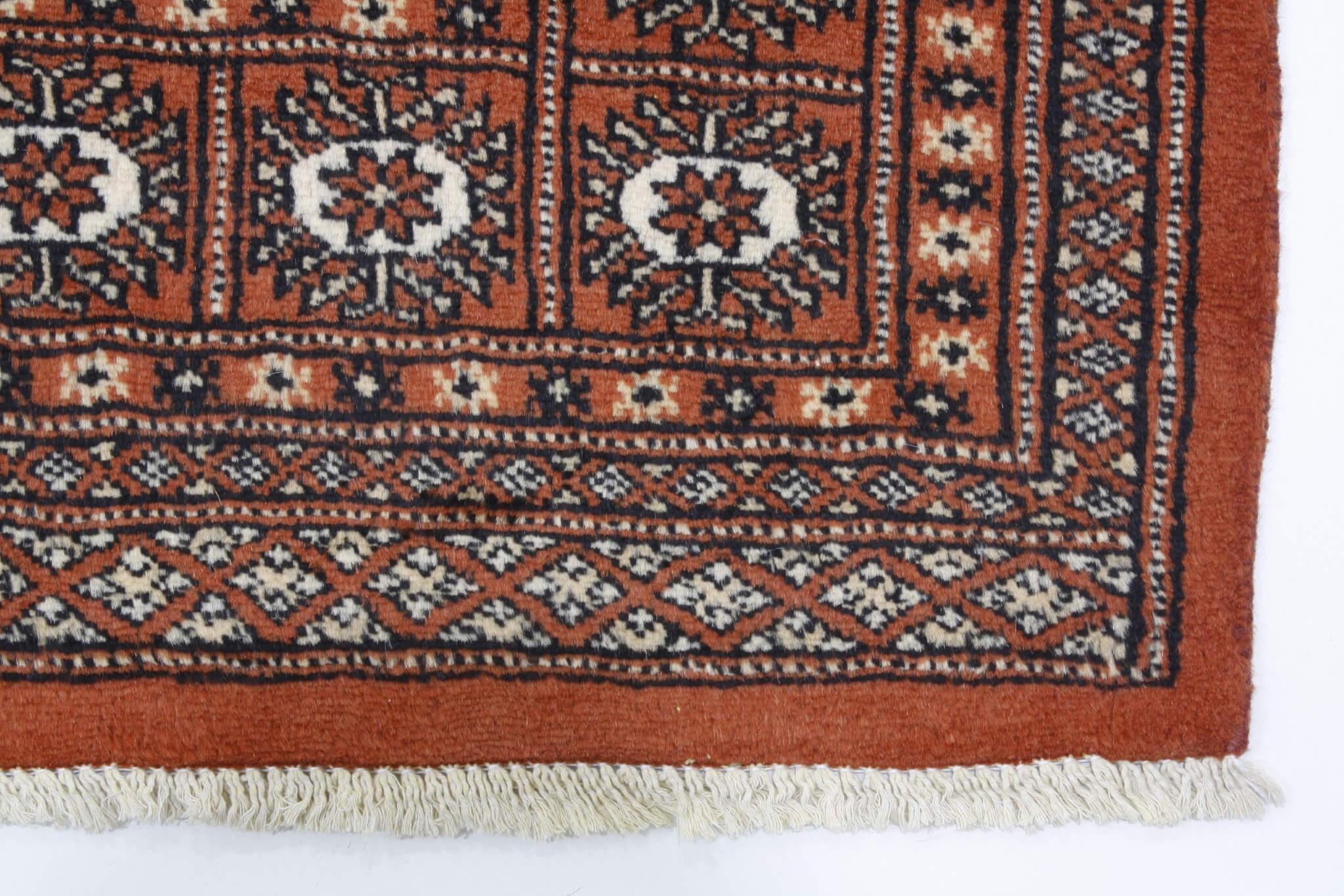 Oriental rug Bukhara Exclusive