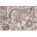 Orientální koberec Kašmír Hedvábí Exkluziv