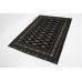 Oriental rug Bukhara Premium