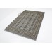 Oriental rug Bukhara Exclusive