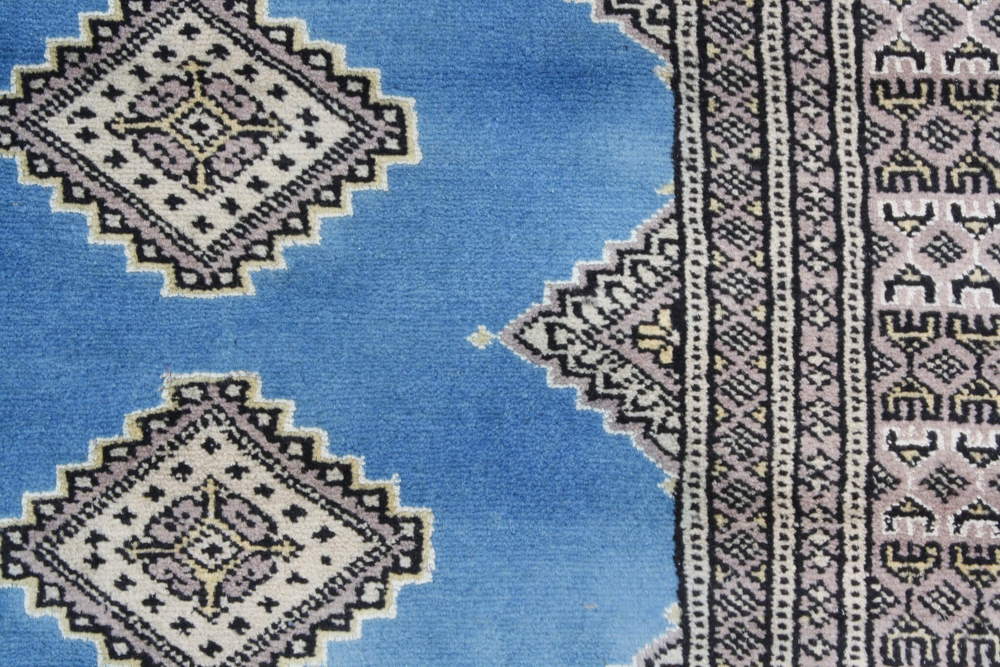 Oriental rug Jaldar Exclusive