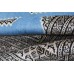 Oriental rug Jaldar Exclusive