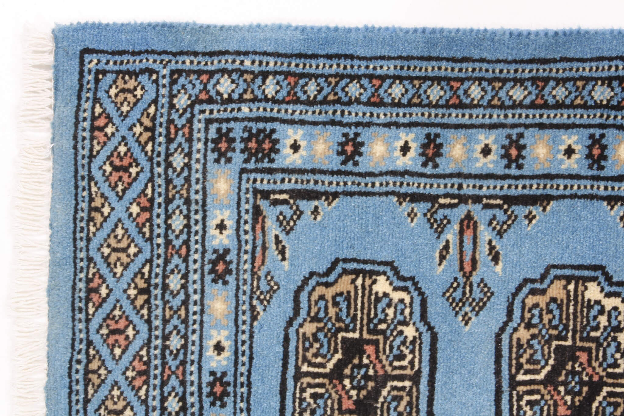 Oriental rug Bukhara Exclusive