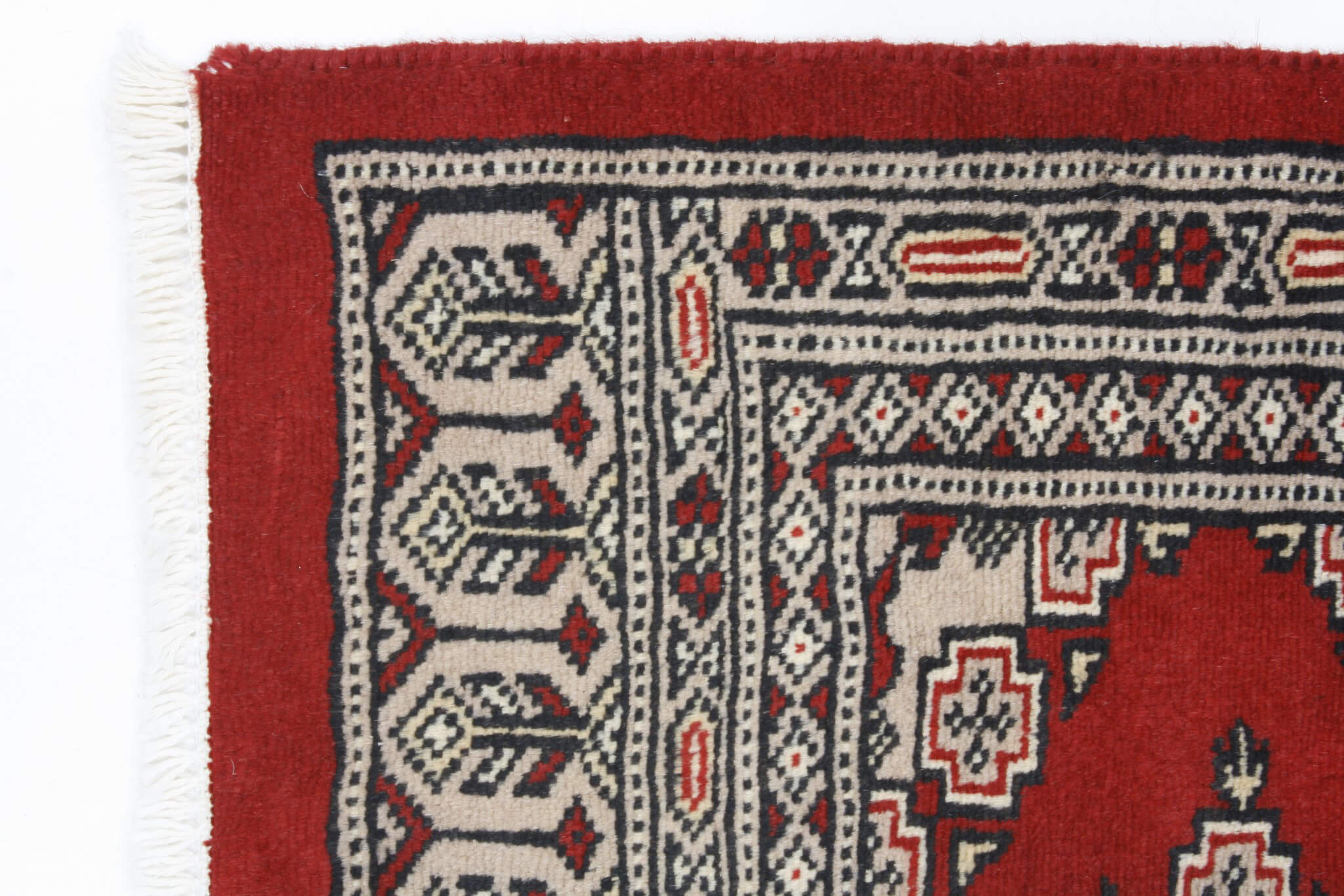 Oriental rug Jaldar Exclusive