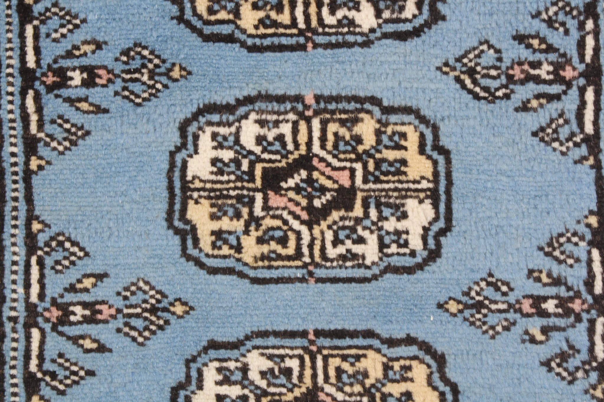 Oriental rug Bukhara Exclusive