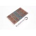 Oriental rug Ariana Exclusive