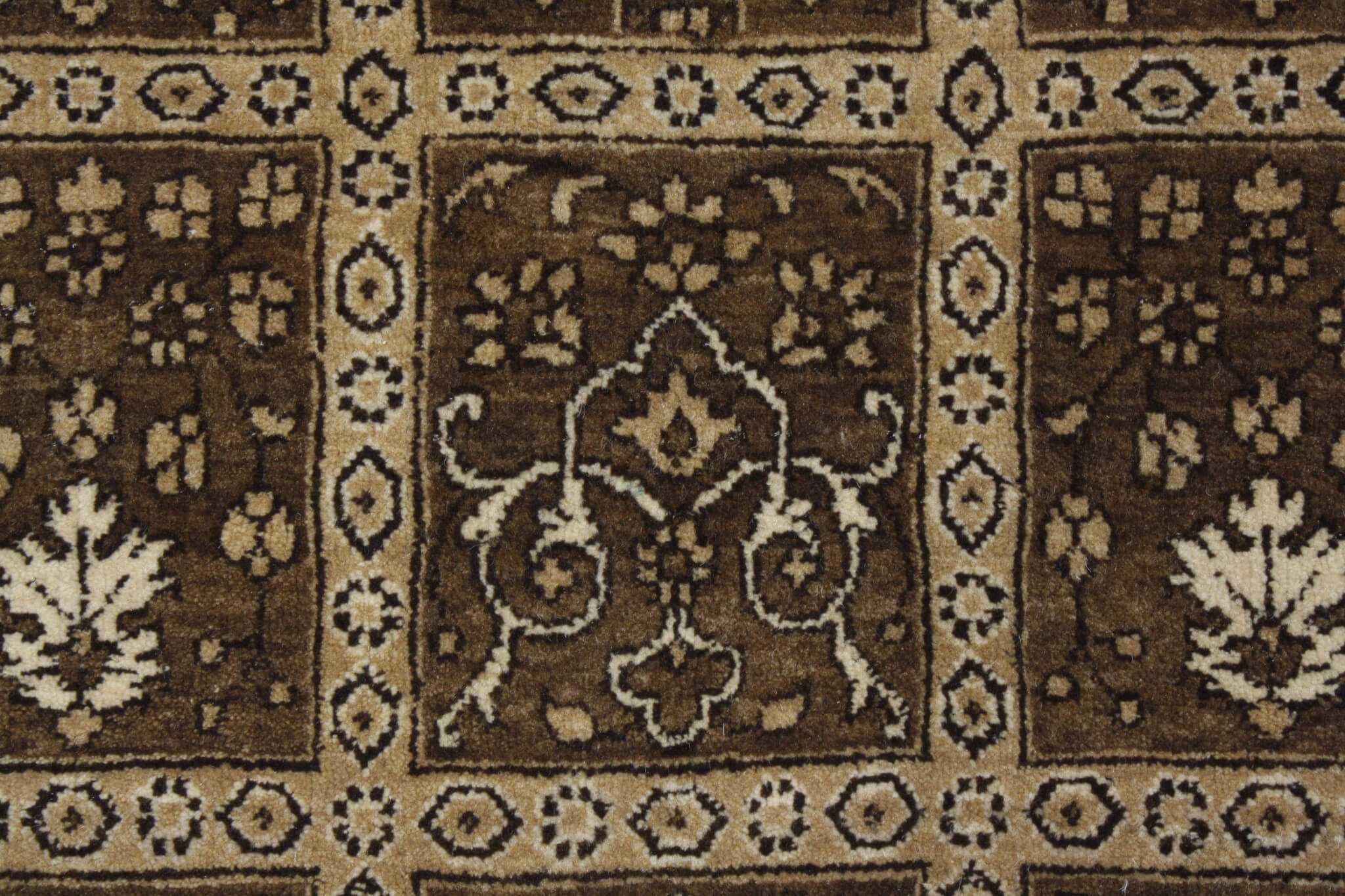 Modern rug Loribaft Exclusive