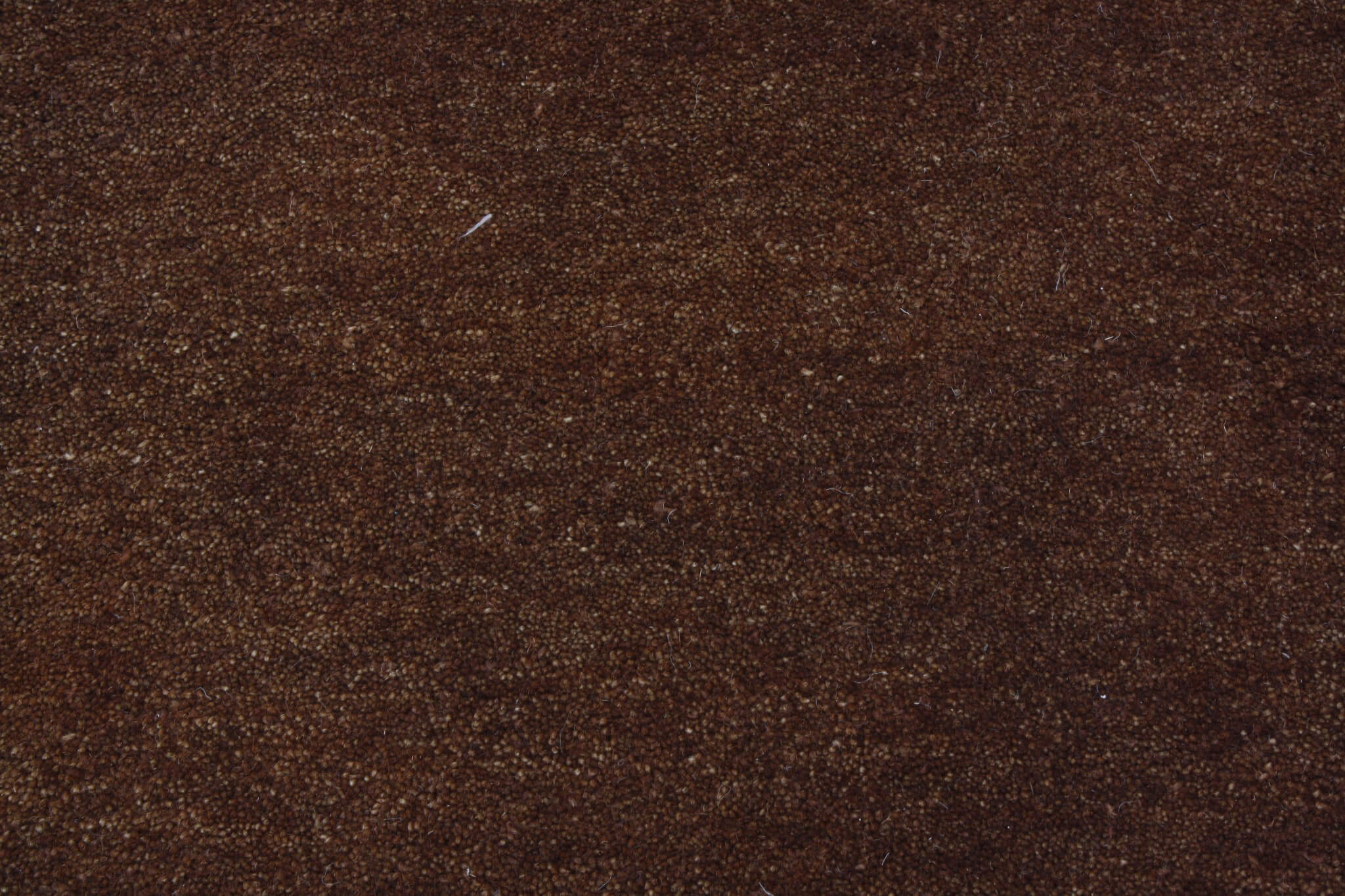 Modern rug Gabbeh Adali Premium