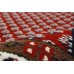 Oriental rug Mir