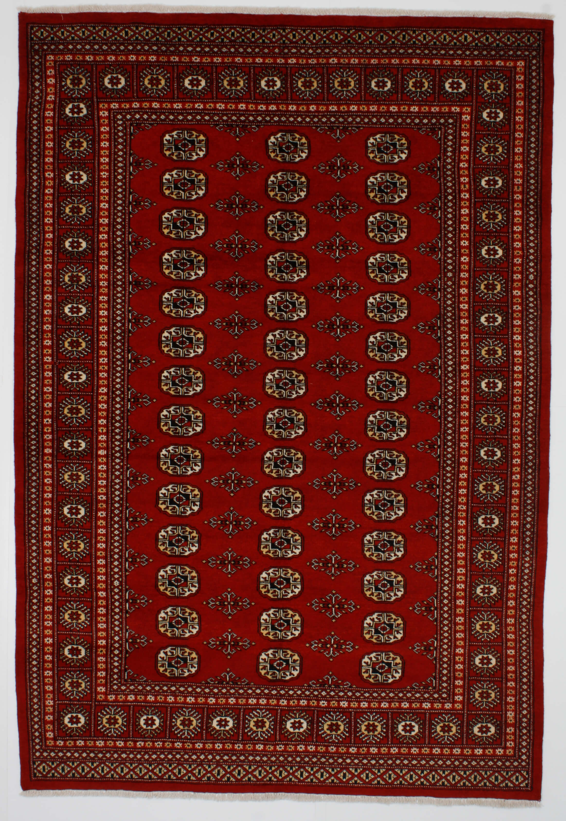 Oriental rug Bukhara Exclusive