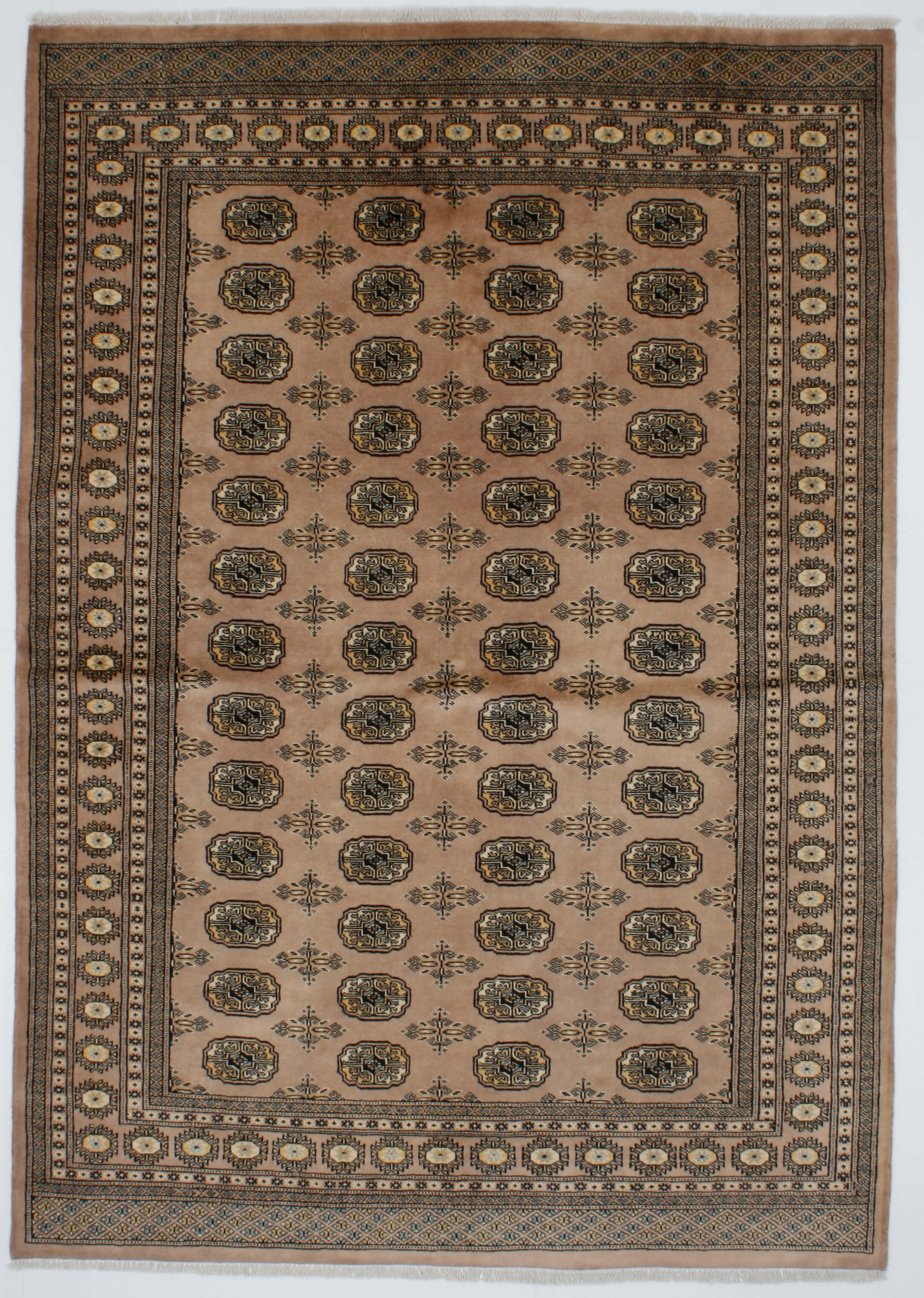 Oriental rug Bukhara Exclusive