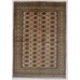 Oriental rug Bukhara Exclusive