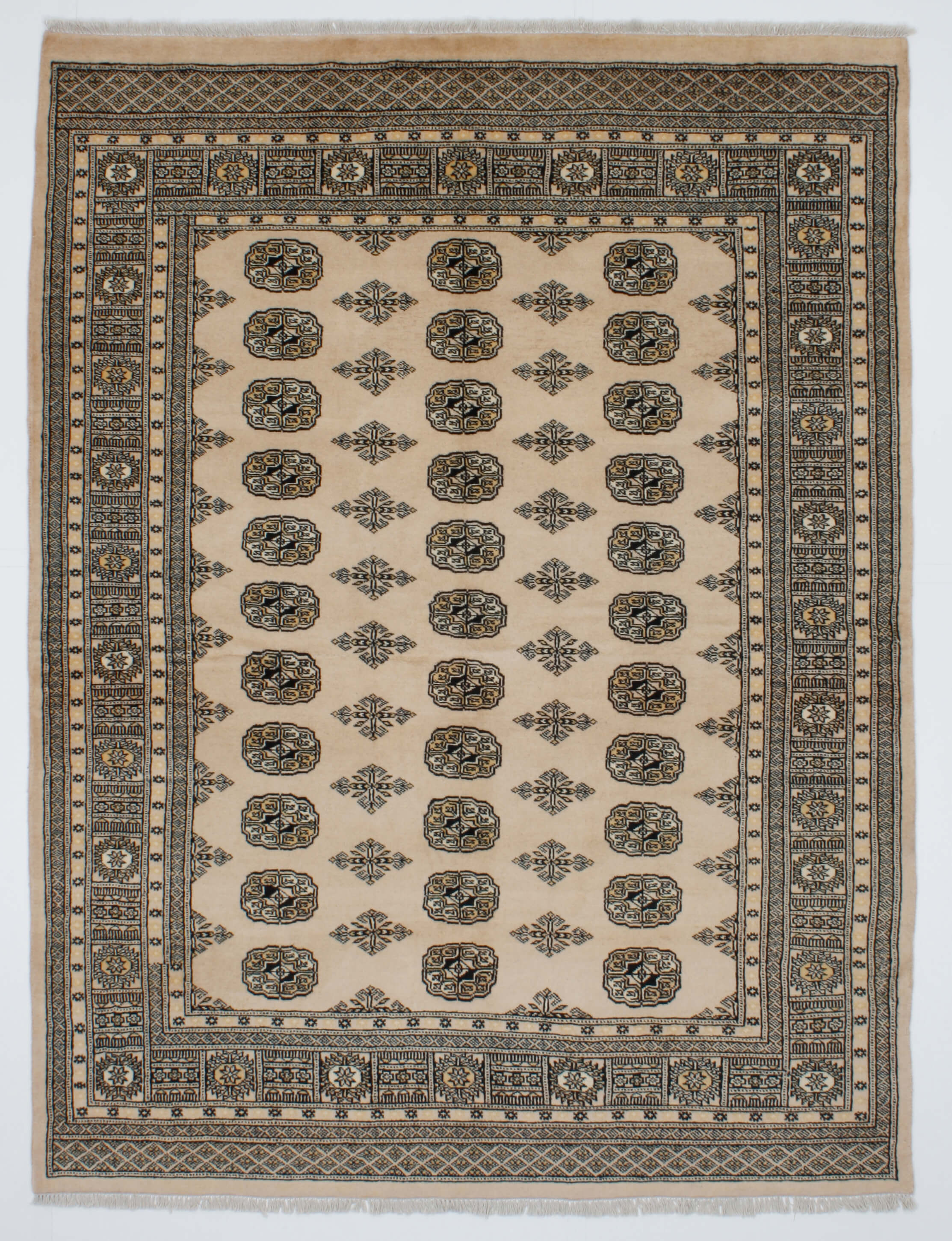 Oriental rug Bukhara Exclusive