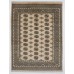Oriental rug Bukhara Exclusive