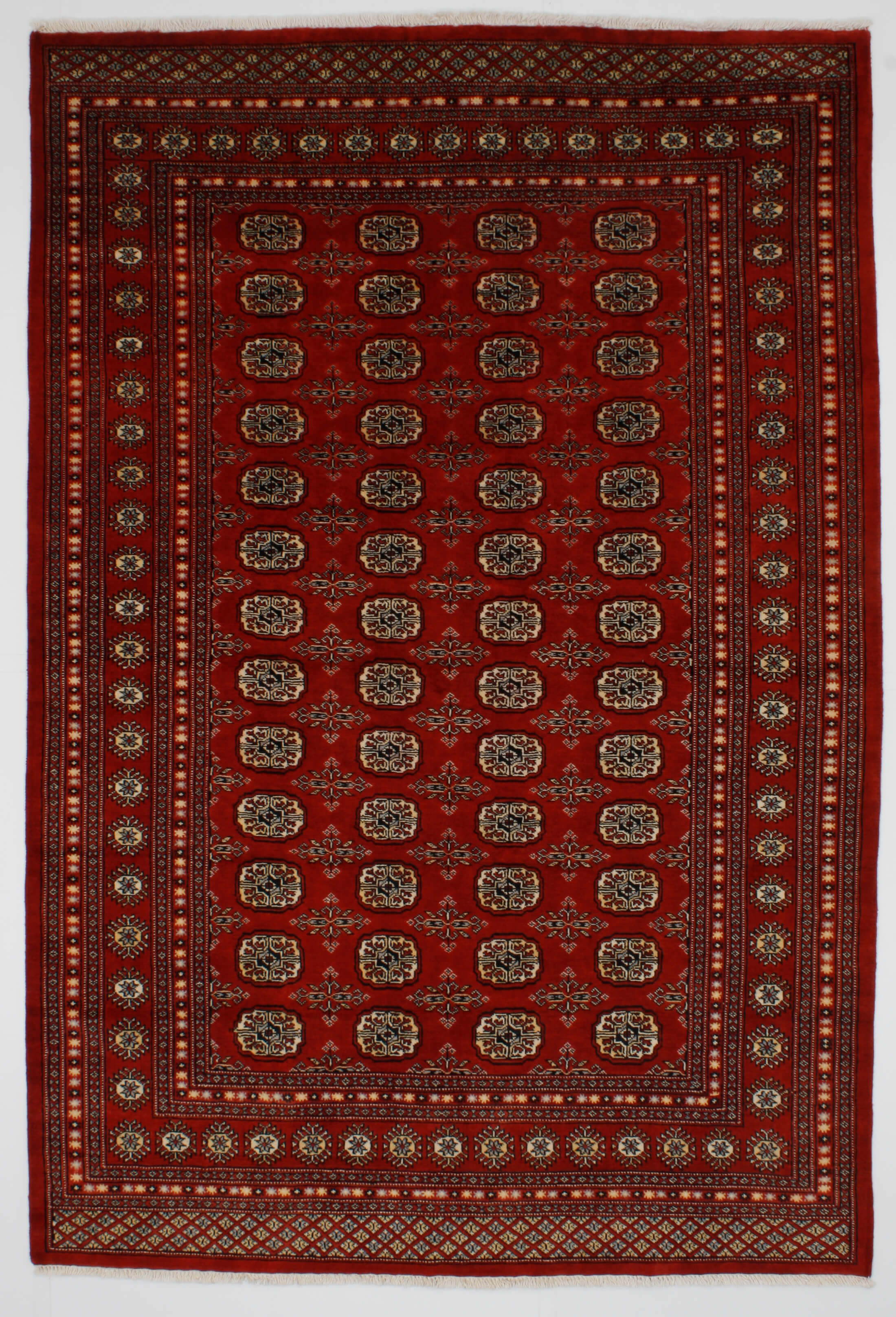 Oriental rug Bukhara Exclusive