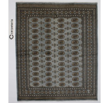 Oriental rug Bukhara Exclusive