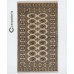 Oriental rug Bukhara Exclusive
